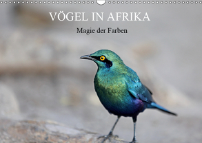 Vögel in Afrika – Magie der Farben (Wandkalender 2019 DIN A3 quer) von Herzog,  Michael