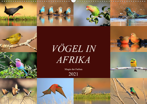 Vögel in Afrika – Magie der Farben (Wandkalender 2021 DIN A2 quer) von Herzog,  Michael