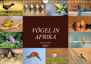 Vögel in Afrika – Magie der Farben (Wandkalender 2023 DIN A4 quer) von Herzog,  Michael