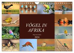 Vögel in Afrika – Magie der Farben (Wandkalender 2024 DIN A4 quer), CALVENDO Monatskalender von Herzog,  Michael