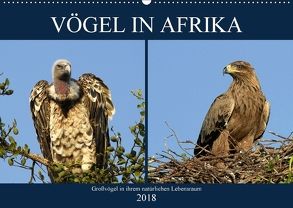 Vögel in Afrika (Wandkalender 2018 DIN A2 quer) von Herzog,  Michael