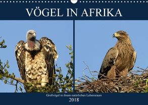 Vögel in Afrika (Wandkalender 2018 DIN A3 quer) von Herzog,  Michael