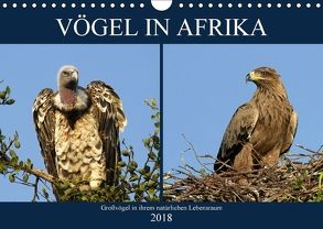 Vögel in Afrika (Wandkalender 2018 DIN A4 quer) von Herzog,  Michael