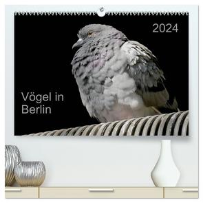 Vögel in Berlin (hochwertiger Premium Wandkalender 2024 DIN A2 quer), Kunstdruck in Hochglanz von Mahrhofer,  Verena
