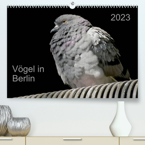Vögel in Berlin (Premium, hochwertiger DIN A2 Wandkalender 2023, Kunstdruck in Hochglanz) von Mahrhofer,  Verena