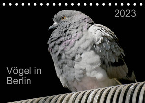 Vögel in Berlin (Tischkalender 2023 DIN A5 quer) von Mahrhofer,  Verena