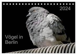Vögel in Berlin (Tischkalender 2024 DIN A5 quer), CALVENDO Monatskalender von Mahrhofer,  Verena