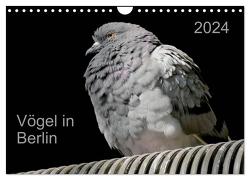 Vögel in Berlin (Wandkalender 2024 DIN A4 quer), CALVENDO Monatskalender von Mahrhofer,  Verena