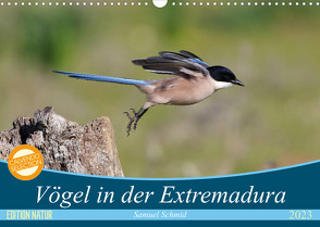 Vögel in der Extremadura (Wandkalender 2023 DIN A3 quer) von (Schweiz),  Huttwil, Schmid,  Samuel