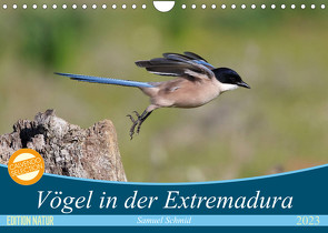 Vögel in der Extremadura (Wandkalender 2023 DIN A4 quer) von (Schweiz),  Huttwil, Schmid,  Samuel