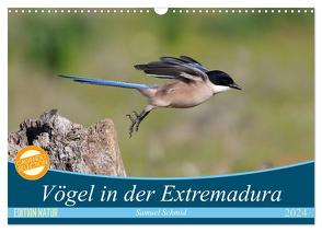 Vögel in der Extremadura (Wandkalender 2024 DIN A3 quer), CALVENDO Monatskalender von schmid,  huttwil (schweiz),  samuel