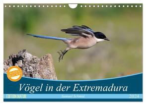 Vögel in der Extremadura (Wandkalender 2024 DIN A4 quer), CALVENDO Monatskalender von schmid,  huttwil (schweiz),  samuel