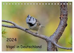Vögel in Deutschland (Tischkalender 2024 DIN A5 quer), CALVENDO Monatskalender von Jähne,  Karin