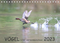 Vögel in Ost- und Norddeutschland 2023 (Tischkalender 2023 DIN A5 quer) von Jansen,  Rolf