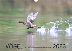 Vögel in Ost- und Norddeutschland 2023 (Wandkalender 2023 DIN A3 quer) von Jansen,  Rolf