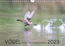 Vögel in Ost- und Norddeutschland 2023 (Wandkalender 2023 DIN A4 quer) von Jansen,  Rolf