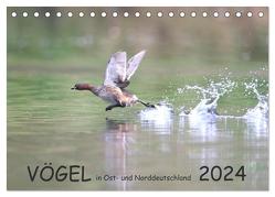 Vögel in Ost- und Norddeutschland 2024 (Tischkalender 2024 DIN A5 quer), CALVENDO Monatskalender von Jansen,  Rolf