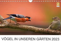 Vögel in unseren Gärten 2023 (Wandkalender 2023 DIN A4 quer) von Klapp,  Lutz