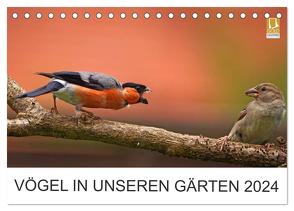 Vögel in unseren Gärten 2024 (Tischkalender 2024 DIN A5 quer), CALVENDO Monatskalender von Klapp,  Lutz