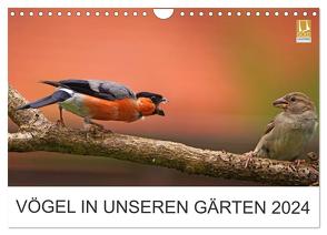 Vögel in unseren Gärten 2024 (Wandkalender 2024 DIN A4 quer), CALVENDO Monatskalender von Klapp,  Lutz