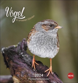 Vögel in unseren Gärten Postkartenkalender 2024