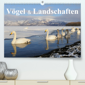 Vögel & Landschaften (Premium, hochwertiger DIN A2 Wandkalender 2023, Kunstdruck in Hochglanz) von birdimagency.com