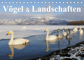 Vögel & Landschaften (Tischkalender 2022 DIN A5 quer) von birdimagency.com