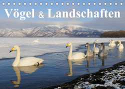 Vögel & Landschaften (Tischkalender 2023 DIN A5 quer) von birdimagency.com