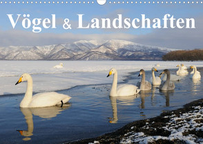 Vögel & Landschaften (Wandkalender 2022 DIN A3 quer) von birdimagency.com