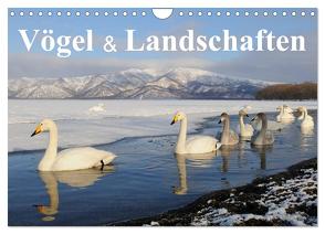 Vögel & Landschaften (Wandkalender 2024 DIN A4 quer), CALVENDO Monatskalender von birdimagency.com,  birdimagency.com