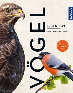 Vögel lebensgroß (Großformat) von Read,  Rob, Sterry,  Paul