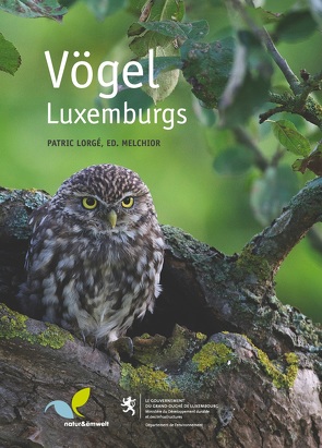 Vögel Luxemburgs von Lorgé,  Patric, Melchior,  Eduard
