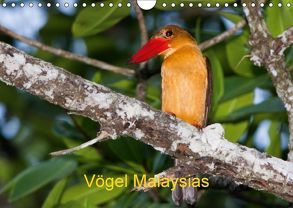 Vögel Malaysias – Birds of Malaysia (Wandkalender 2018 DIN A4 quer) von D. Weinand,  Ralf