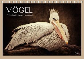 VÖGEL – Portraits der besonderen Art (Tischkalender 2018 DIN A5 quer) von DESIGN Photo + PhotoArt,  AD, Dölling,  Angela