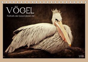 VÖGEL – Portraits der besonderen Art (Tischkalender 2019 DIN A5 quer) von DESIGN Photo + PhotoArt,  AD, Dölling,  Angela