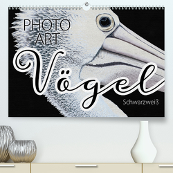 Vögel Schwarzweiß Photo Art (Premium, hochwertiger DIN A2 Wandkalender 2021, Kunstdruck in Hochglanz) von Sachers,  Susanne