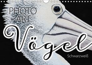 Vögel Schwarzweiß Photo Art (Wandkalender 2018 DIN A4 quer) von Sachers,  Susanne