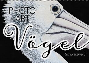 Vögel Schwarzweiß Photo Art (Wandkalender 2019 DIN A2 quer) von Sachers,  Susanne