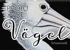 Vögel Schwarzweiß Photo Art (Wandkalender 2019 DIN A3 quer) von Sachers,  Susanne