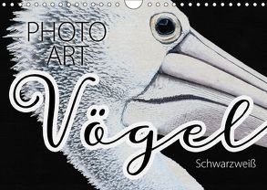 Vögel Schwarzweiß Photo Art (Wandkalender 2019 DIN A4 quer) von Sachers,  Susanne