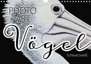 Vögel Schwarzweiß Photo Art (Wandkalender 2020 DIN A4 quer) von Sachers,  Susanne
