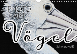 Vögel Schwarzweiß Photo Art (Wandkalender 2021 DIN A4 quer) von Sachers,  Susanne