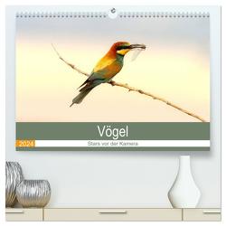 Vögel Stars vor der Kamera (hochwertiger Premium Wandkalender 2024 DIN A2 quer), Kunstdruck in Hochglanz von R Bogner,  J