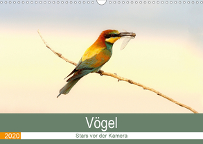 Vögel Stars vor der Kamera (Wandkalender 2020 DIN A3 quer) von R Bogner,  J