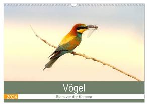 Vögel Stars vor der Kamera (Wandkalender 2024 DIN A3 quer), CALVENDO Monatskalender von R Bogner,  J