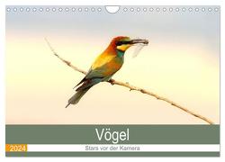 Vögel Stars vor der Kamera (Wandkalender 2024 DIN A4 quer), CALVENDO Monatskalender von R Bogner,  J