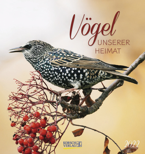 Vögel unserer Heimat 2022 von Korsch Verlag