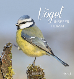 Vögel unserer Heimat 2023 von Korsch Verlag