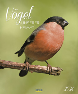 Vögel unserer Heimat 2024 von Korsch Verlag