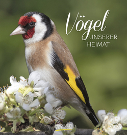 Vögel unserer Heimat 2024 von Korsch Verlag